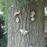 Mien Fruendt Maison d'hôtes 4*