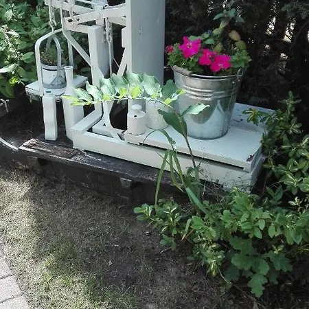 Mien Fruendt 4* באבה