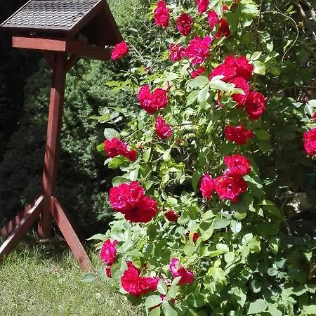 Mien Fruendt Gæstehus 4*