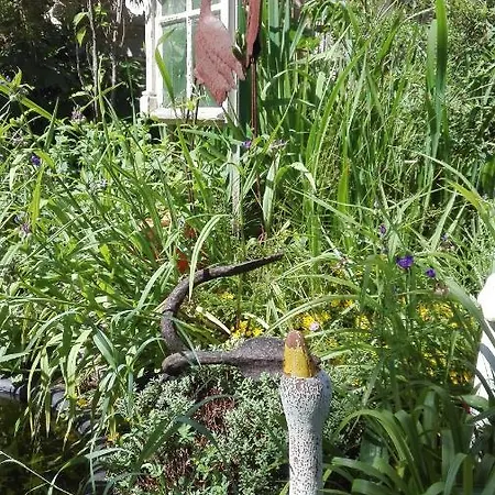 Mien Fruendt 4* Baabe