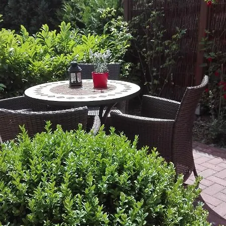 Mien Fruendt 4* Baabe