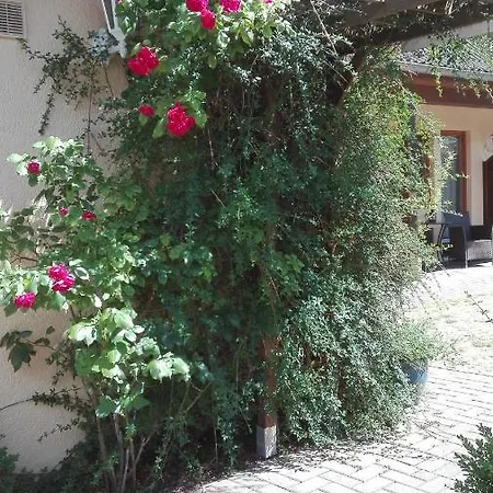 Maison d'hôtes Mien Fruendt 4*