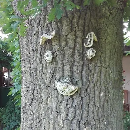 Mien Fruendt בית הארחה 4*