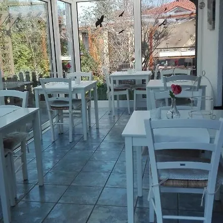 Mien Fruendt בית הארחה