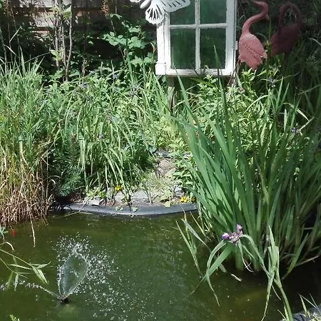 Mien Fruendt 4* Baabe