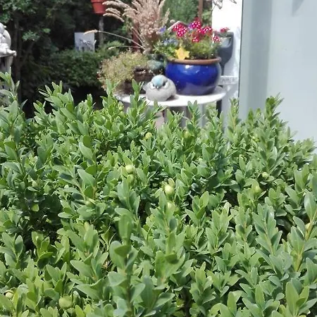 Maison d'hôtes Mien Fruendt Baabe