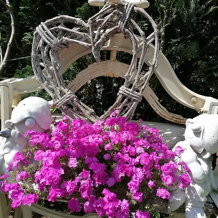 Guest house Mien Fruendt *