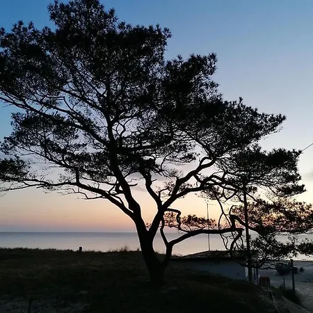 בית הארחה Mien Fruendt באבה