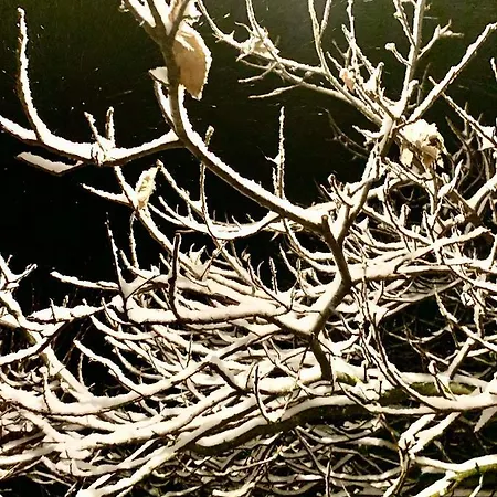 Gasthuis Mien Fruendt