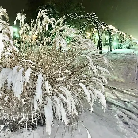 בית הארחה Mien Fruendt באבה